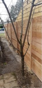 triple sss construction company portland or 2026 01 23T18 47 09.959636Z 66987 1 1
